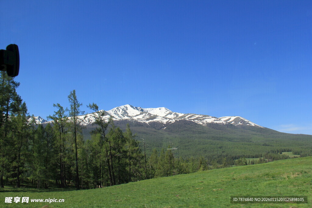 青山绿树间的雪山美景
