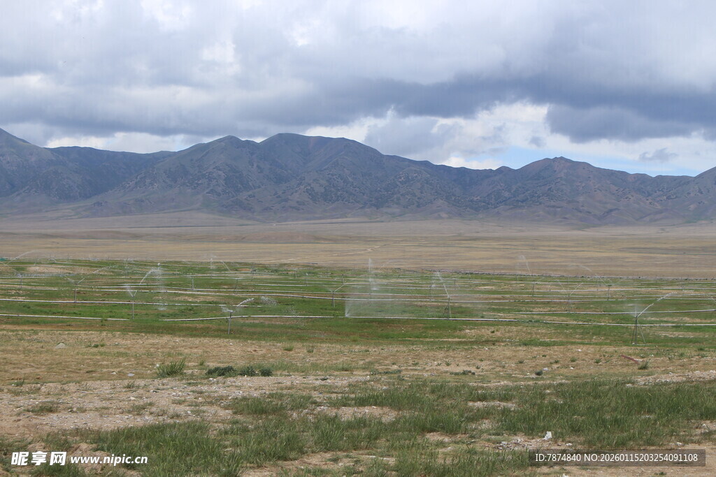 广袤草原与远处山峦景观