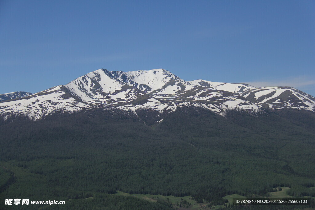 壮丽雪山与葱郁山林景观