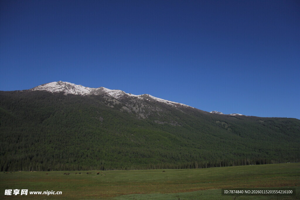 雪山下的翠绿原野