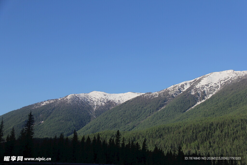 雪山下的葱郁山林