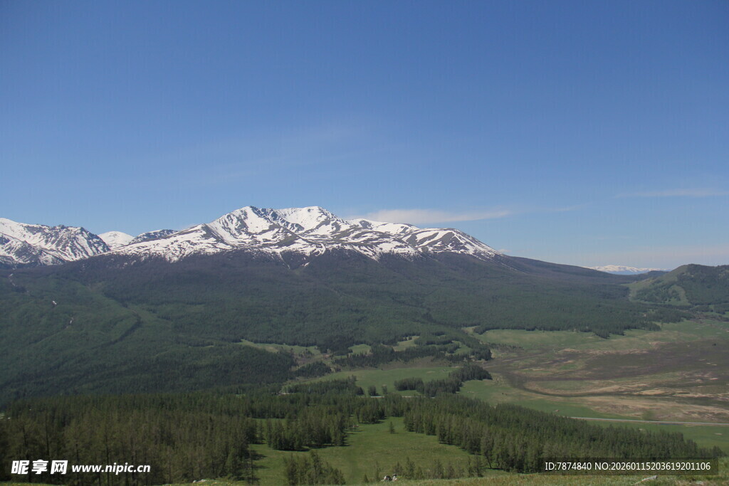 壮丽雪山下的广袤绿野