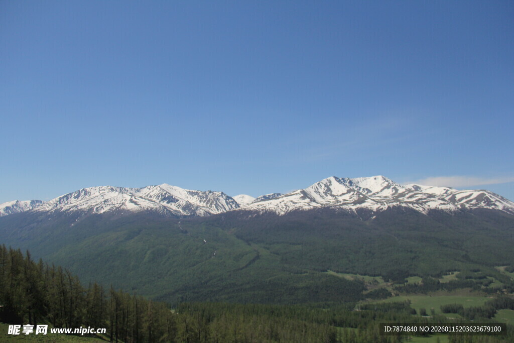 雪山下的葱郁山林