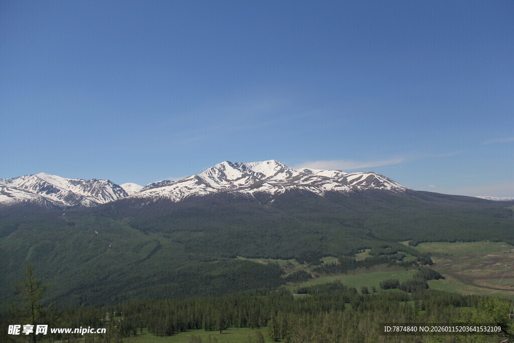 雪山下的翠绿山林