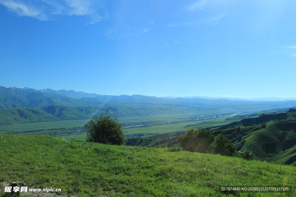 广袤绿野 远山蓝天美景