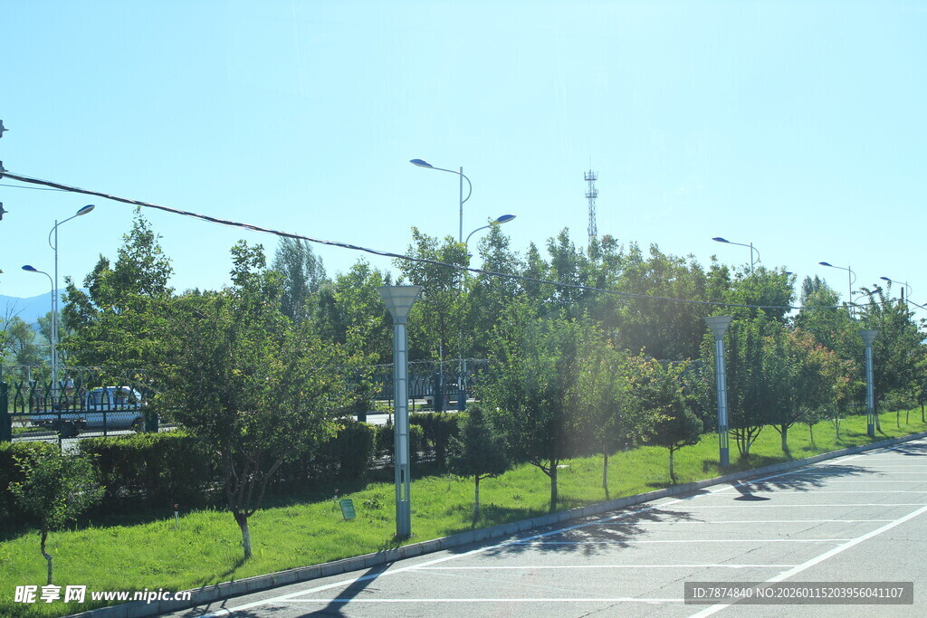 道路旁绿树成荫的景致
