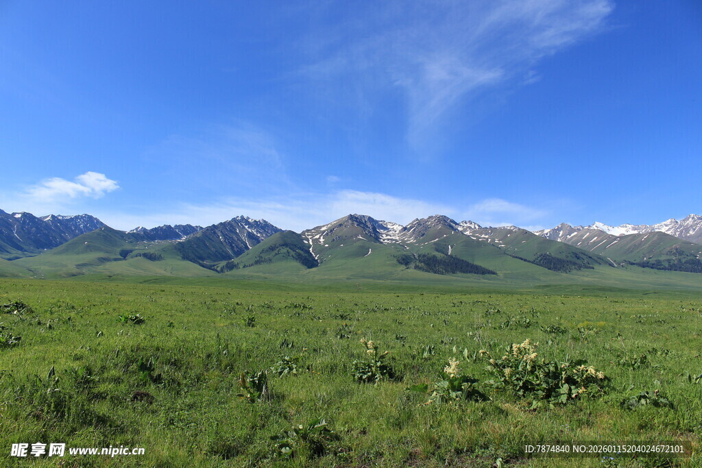 草原蓝天远山自然美景