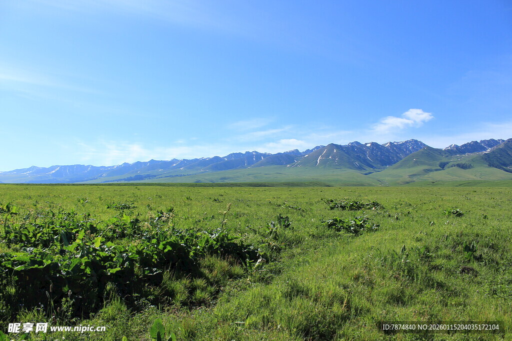 广袤绿野与远处山峦美景