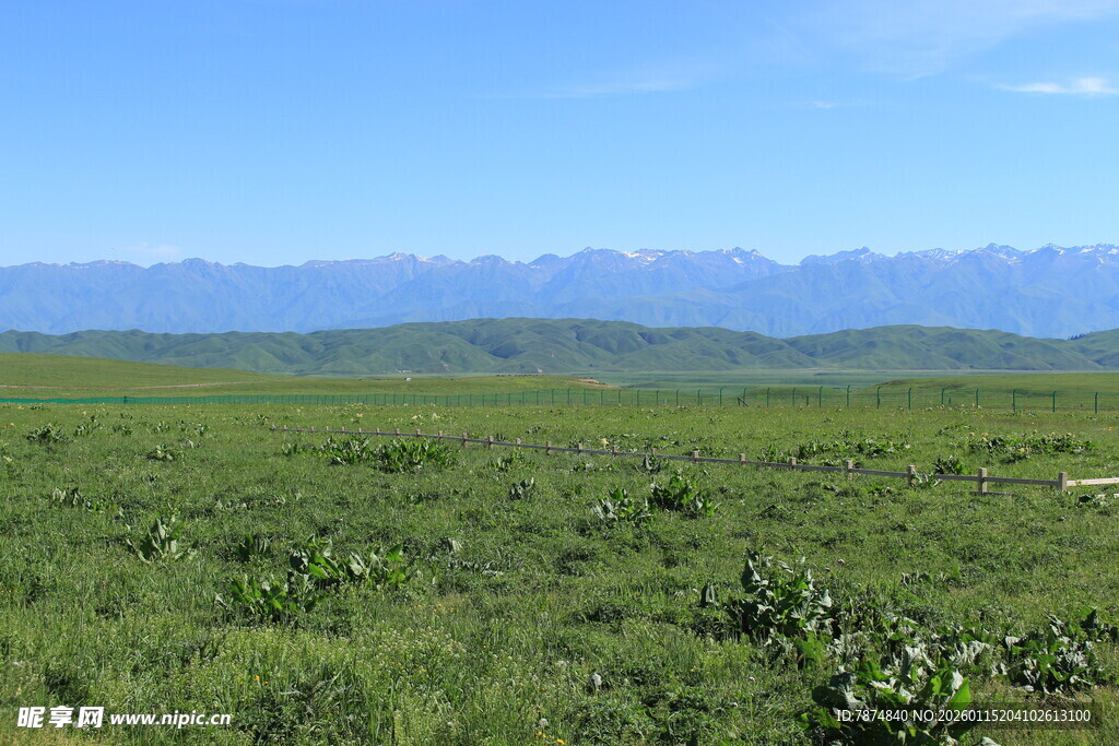广袤绿野与远山美景