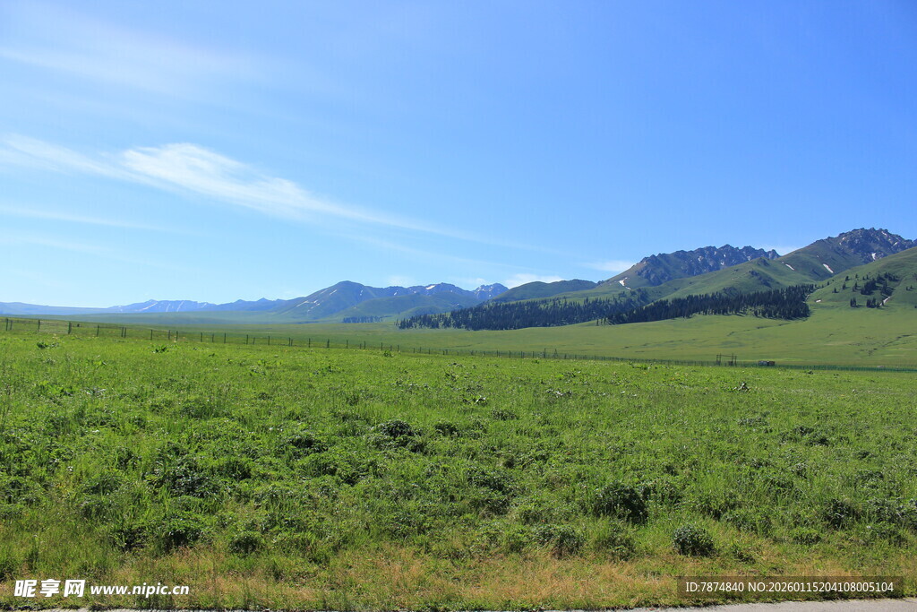 广袤绿野与远山蓝天