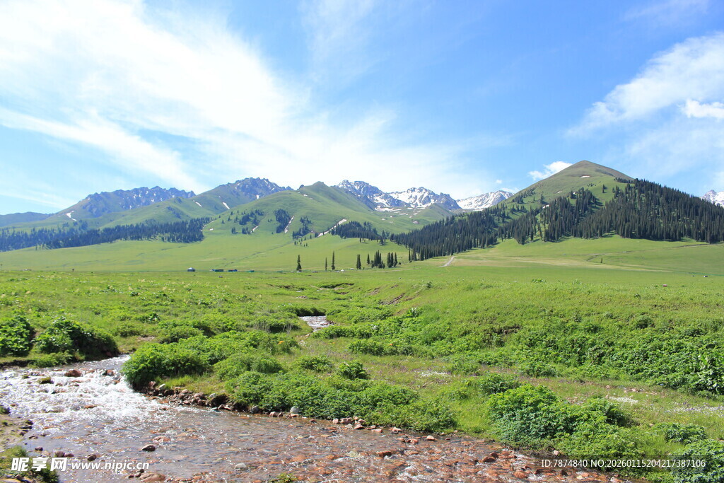 草原山间溪流美景