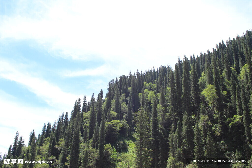 山林葱郁的自然美景