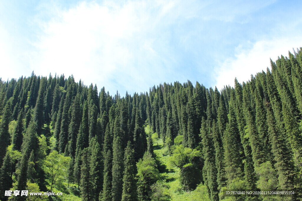 山林葱郁的自然美景