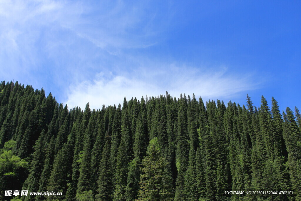 蓝天绿树的山林美景