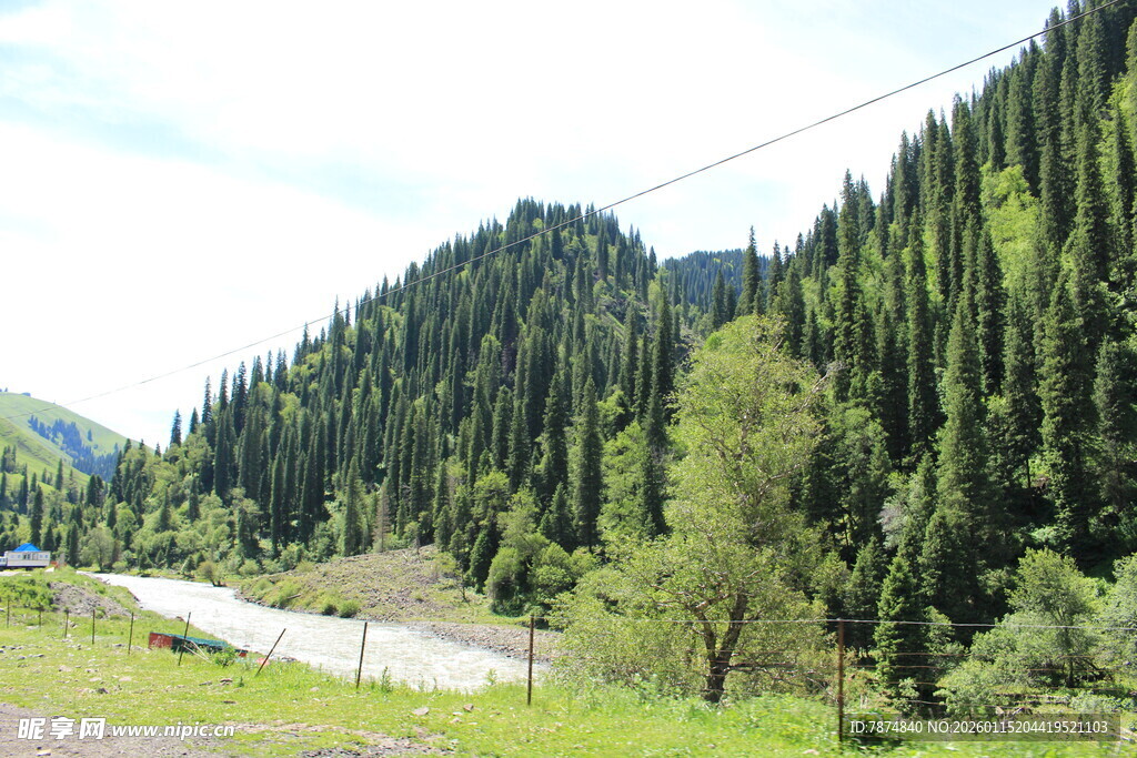 山间葱郁树林与蜿蜒小路