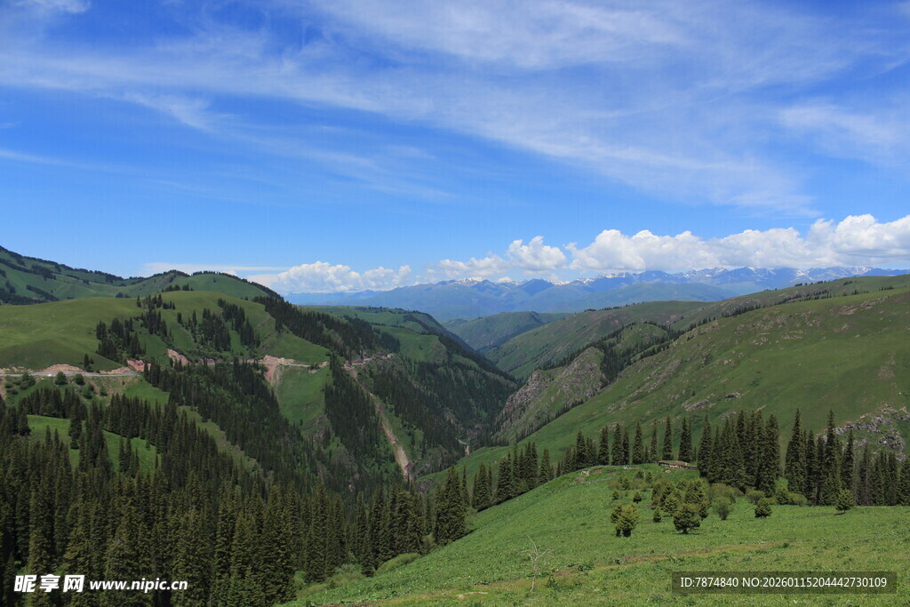 山间美景 绿意盎然的山谷