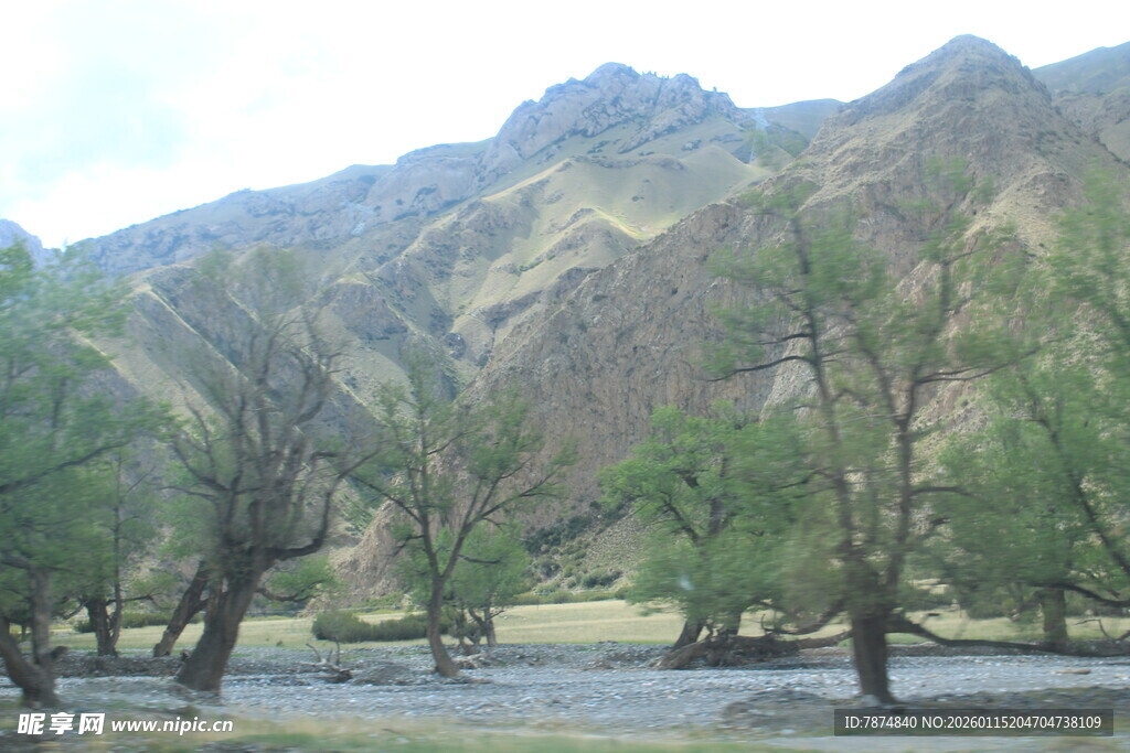 山间枯树与河流景观