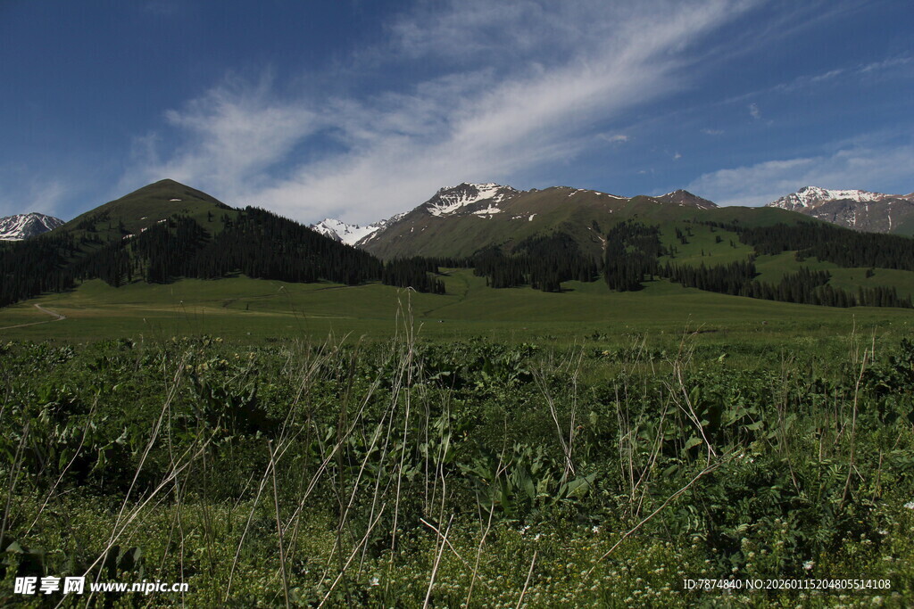 草原山峦美景
