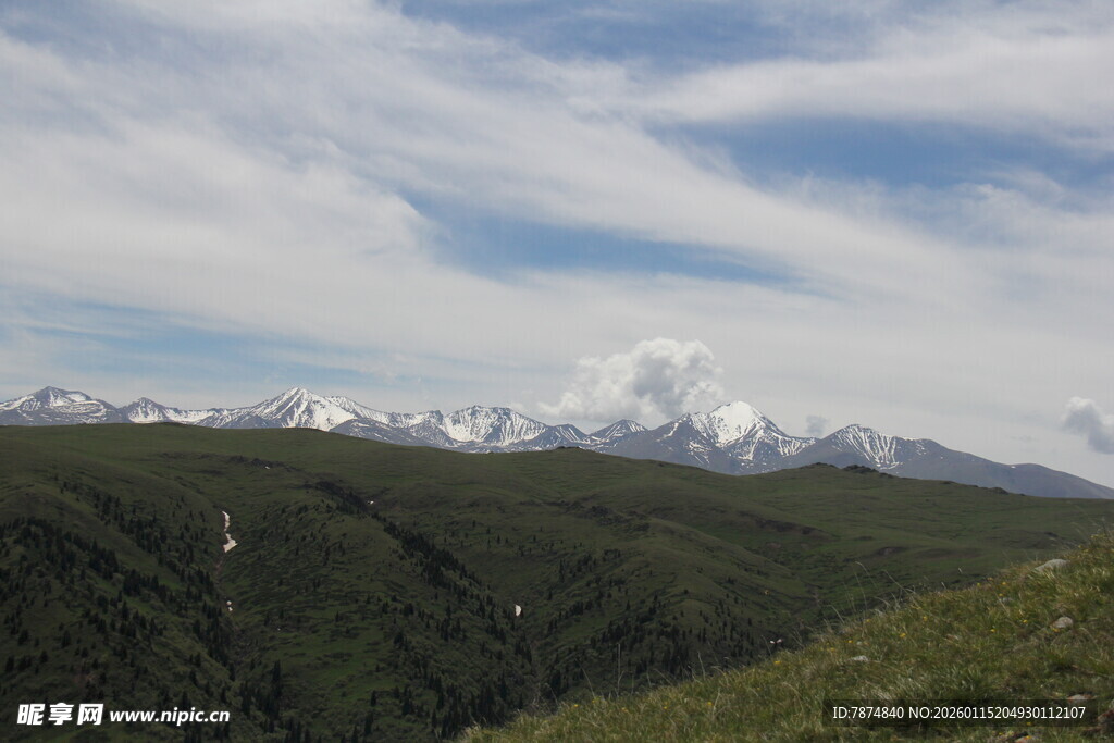高山草甸与远处雪山美景