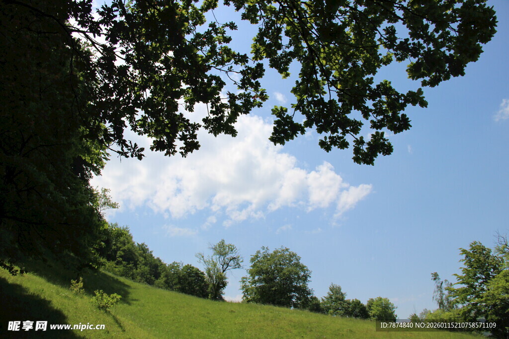 绿野蓝天间的惬意自然景