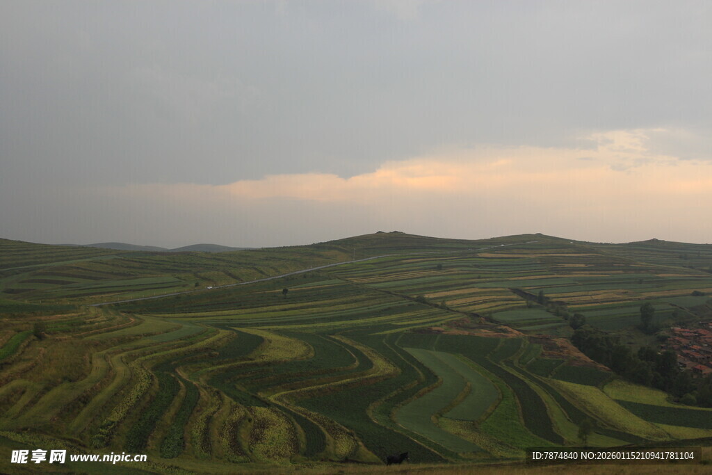 黄昏下的层叠梯田美景