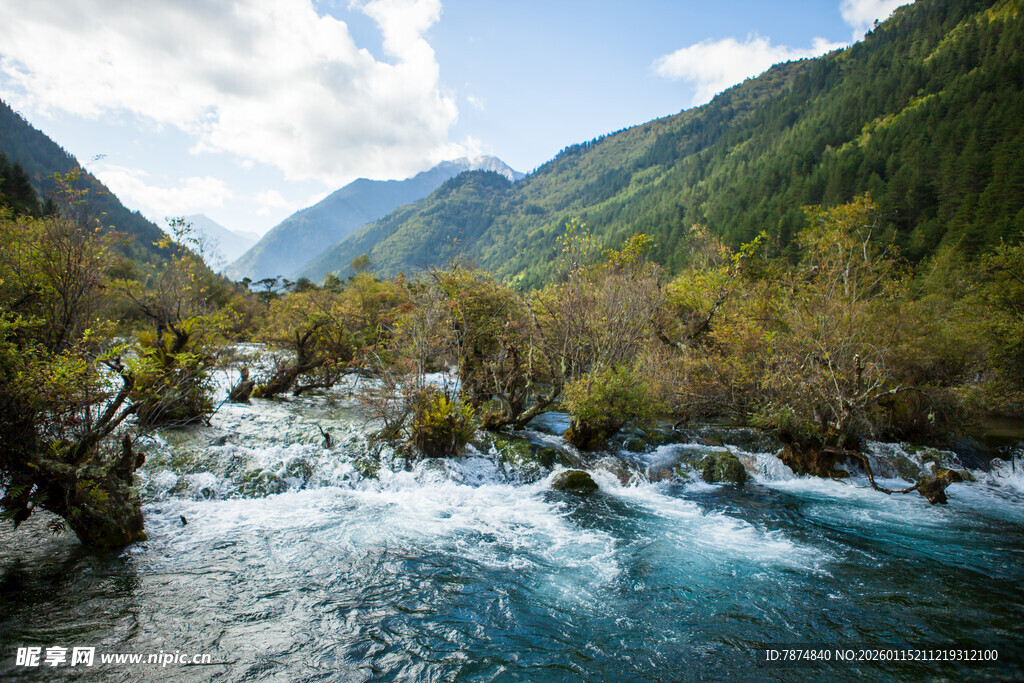 山间湍急溪流与葱郁山林