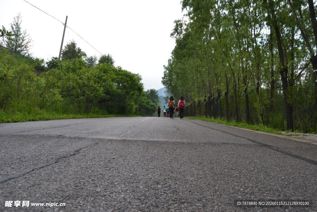 林间公路 静谧骑行风景
