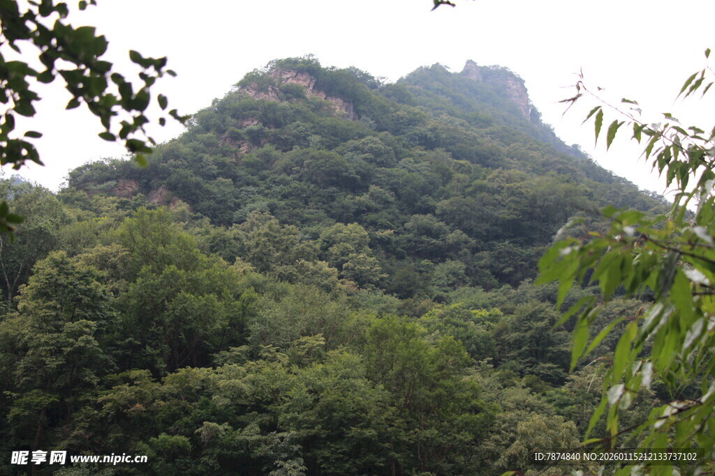 青山绿树环绕的秀丽山峰