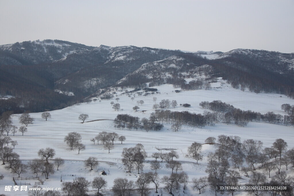 冬日雪覆山丘景观