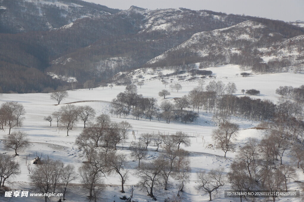 冬日雪景中的静谧山村