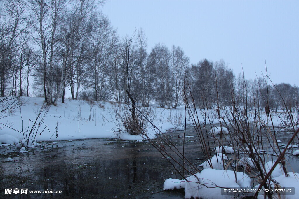 冬日雪景中的静谧河岸