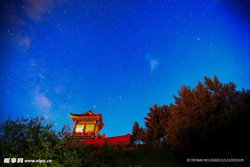 夜空下的建筑与繁茂树木