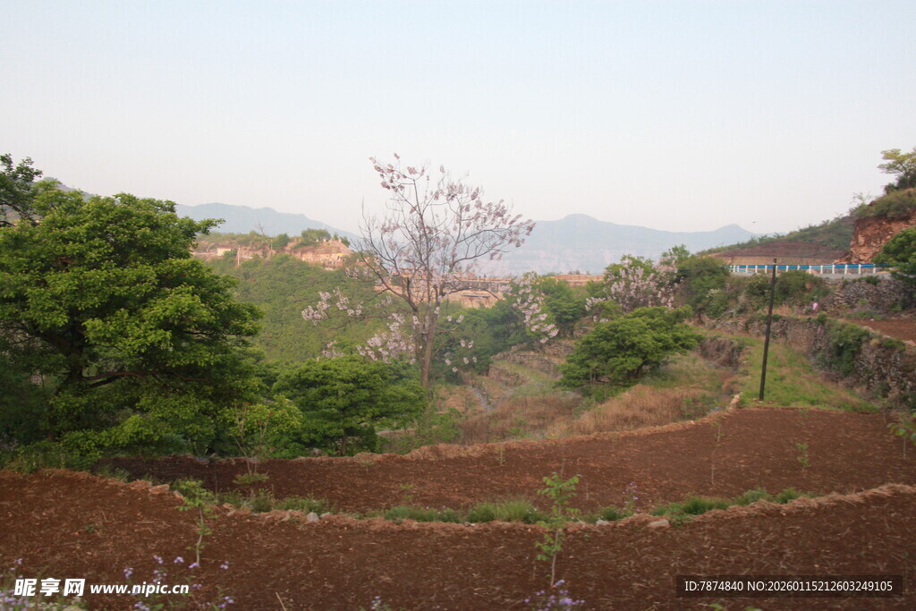 山间田园风光