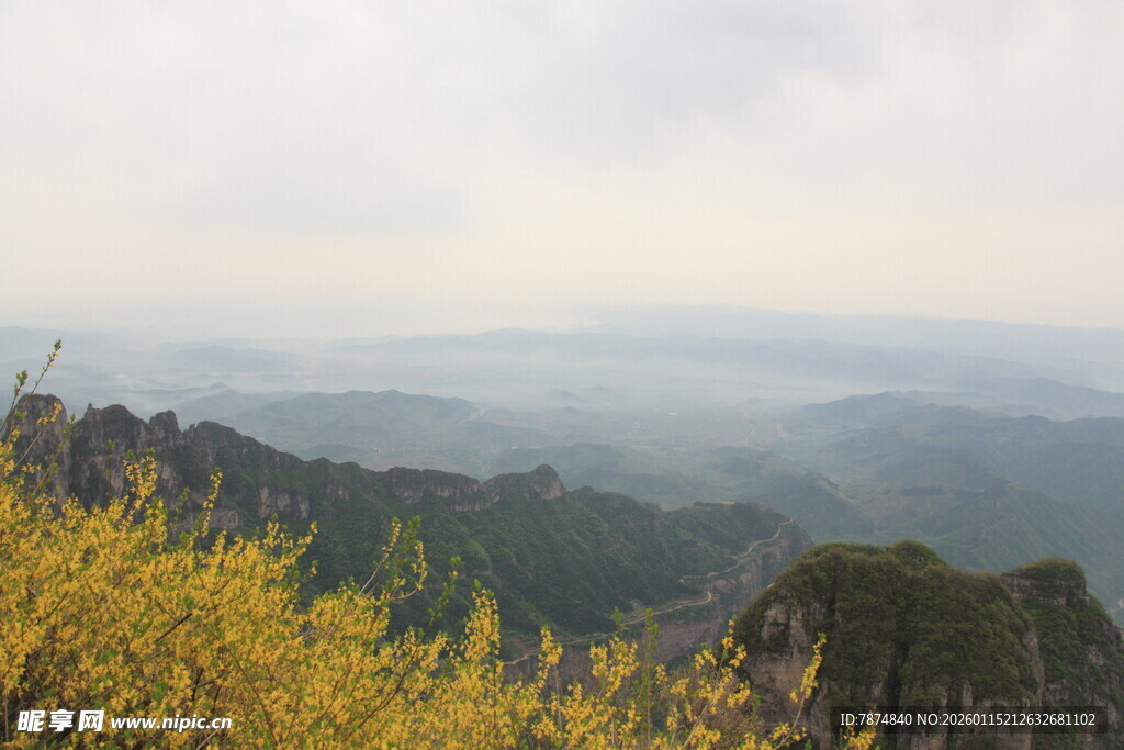 山间黄花与朦胧远景