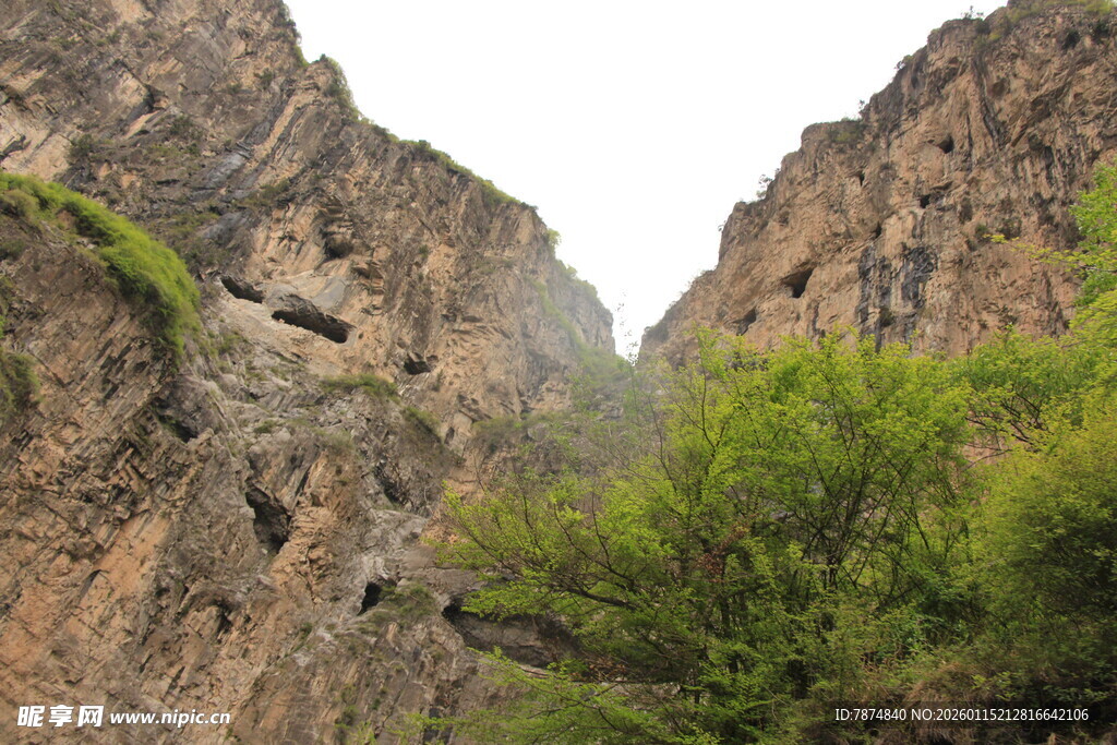 山间峡谷绿意点缀