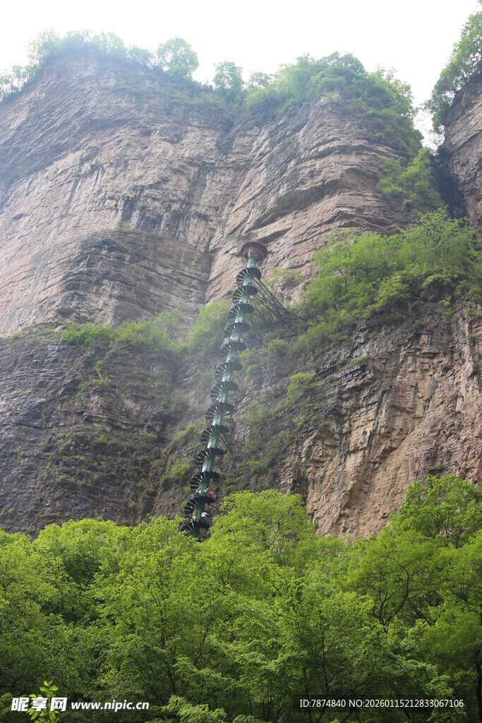 陡峭山崖旁的绿色植被