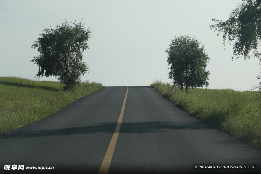 乡间公路 两旁绿树相伴