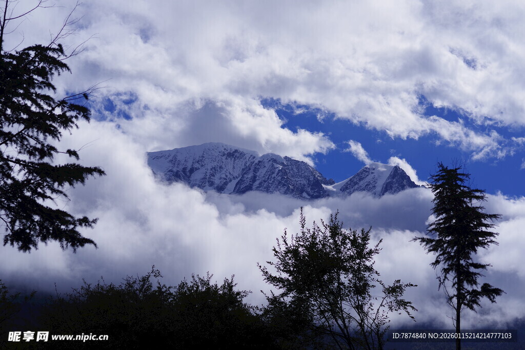 云雾缭绕中的雪山与林木