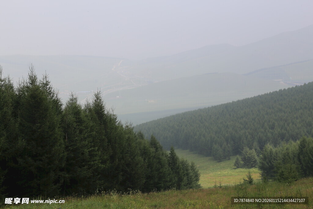 山林间的静谧自然景致