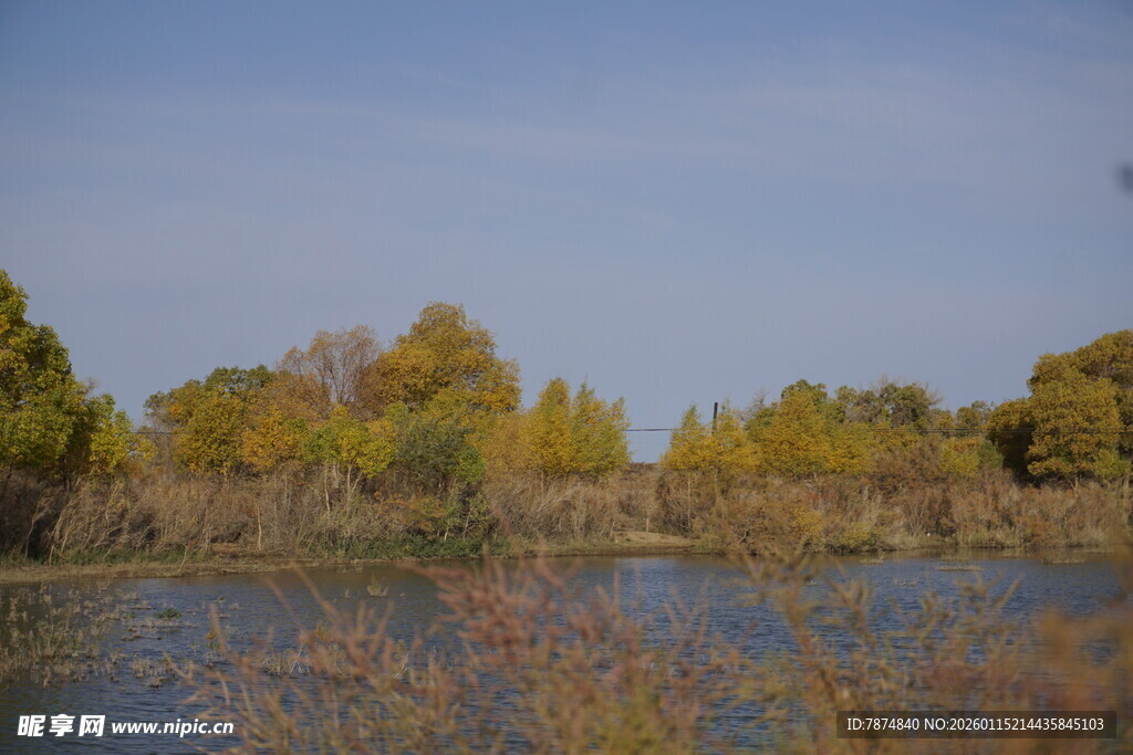 秋日湖畔风光