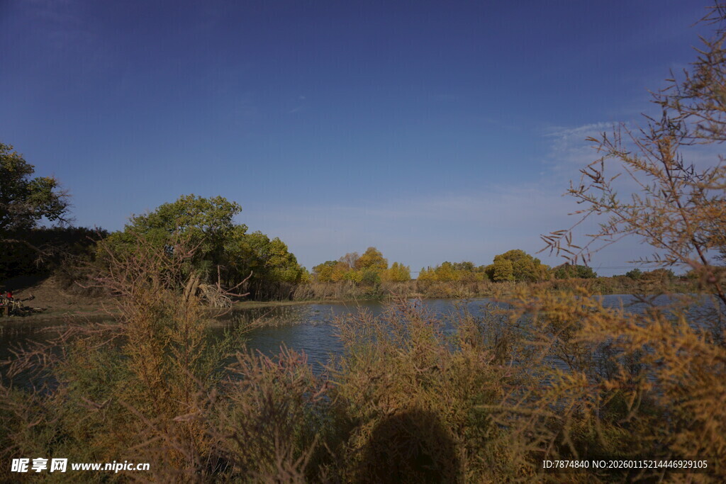 湖畔秋景 草木与蓝天相映