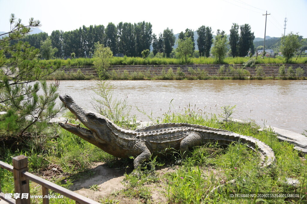 河边的仿真鳄鱼雕塑