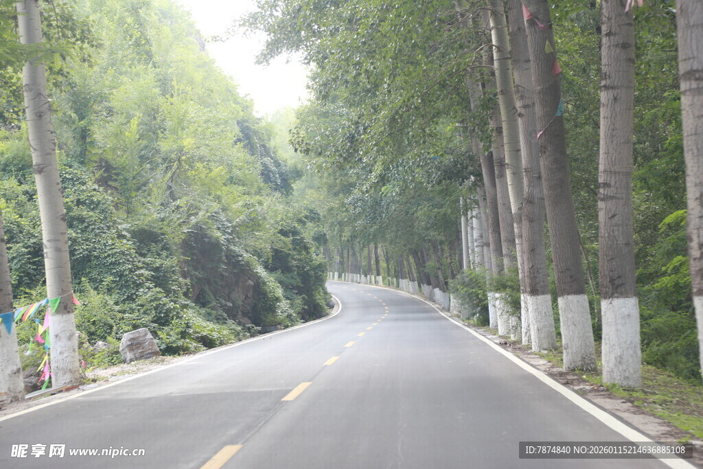 林间公路 绿意盎然的旅程