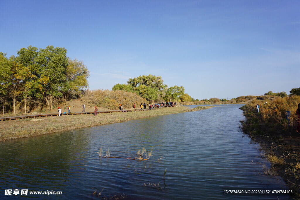 河畔风光美景如画