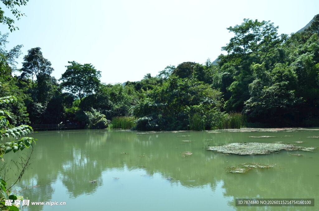 宁静的林间湖泊