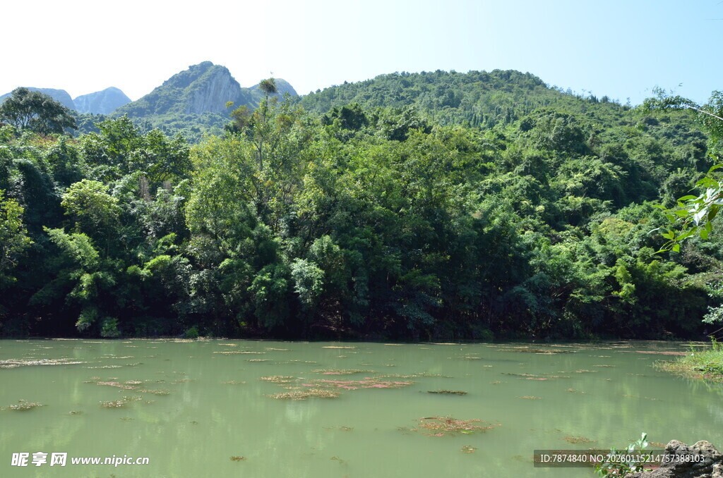 青山绿水间的秀丽河景