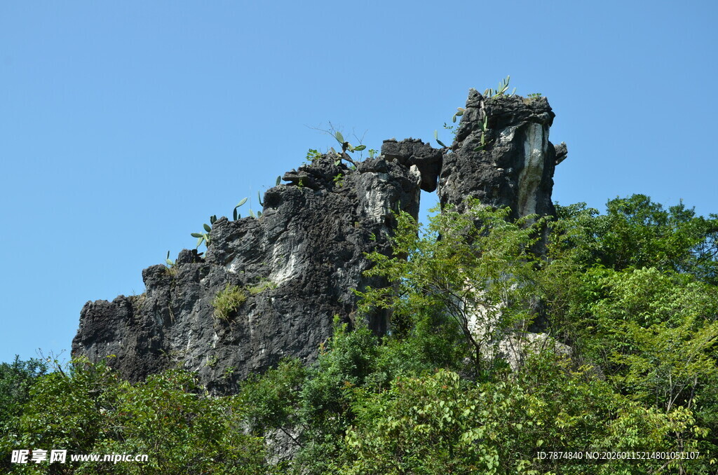奇峰穿林 自然鬼斧神工