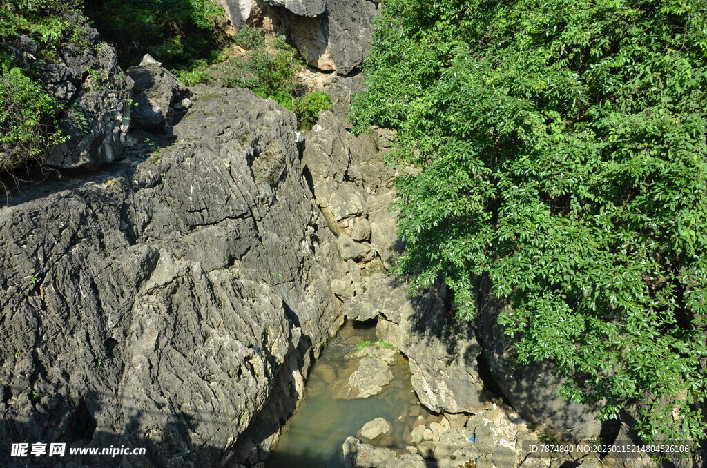 山间幽径旁的岩石与绿植