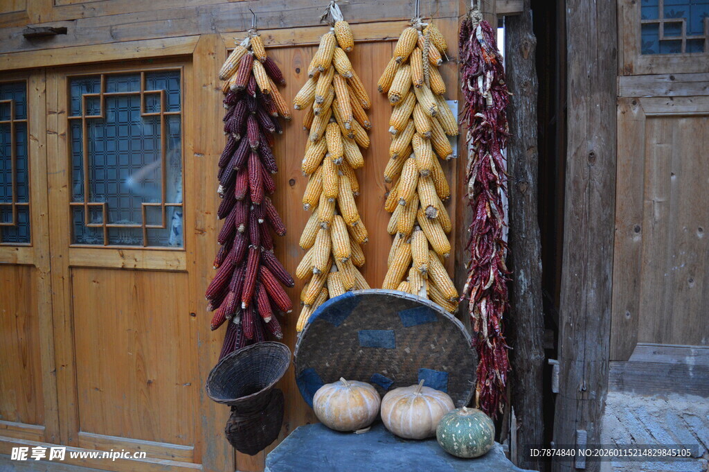 农家门前的丰收晾晒景象