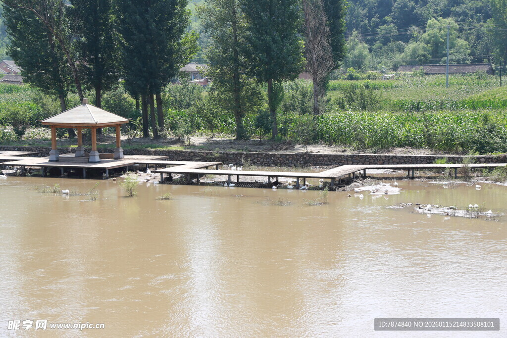 河畔凉亭 自然乡村景致